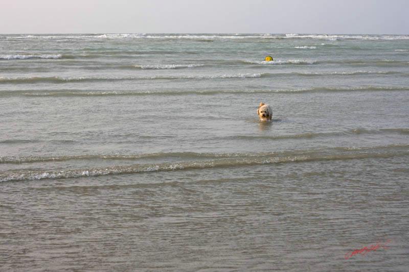 Cjp_2010_04_14_174214 (1).jpg